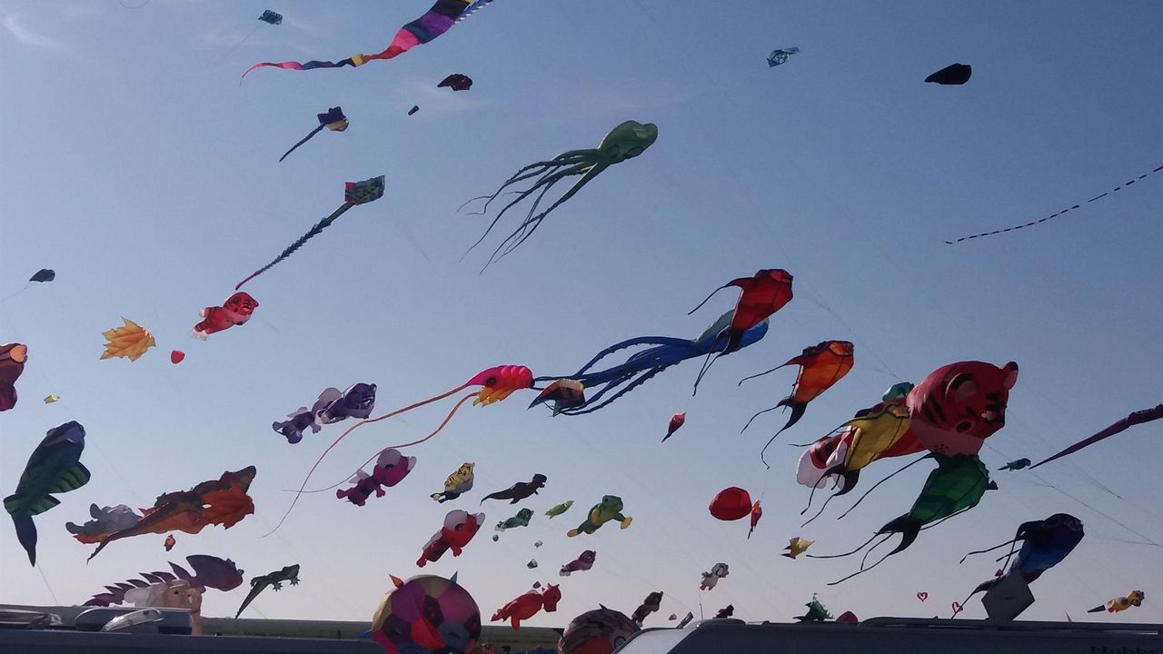 Drachenfest Drachenfest